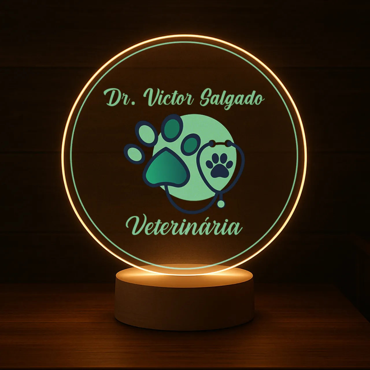 Luminária Profissões Veterinária Com Nome